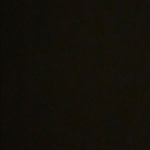 Meet your Posher, Natasha